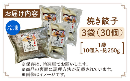 【本格手作り】冷凍 餃子セット（10個入り × 3袋 計 30個） | 手作り 点心 美味しい 冷凍 ギョウザ ギョーザ 焼き餃子 惣菜 冷凍食品 おかず おつまみ 豚肉 お肉 飲茶 お取り寄せ