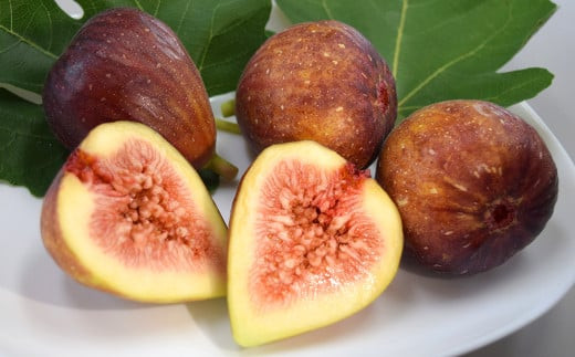 JAふくおか嘉穂 いちじく とよみつひめ 秀品 300g（3～5玉）×4パック 計1.2kg