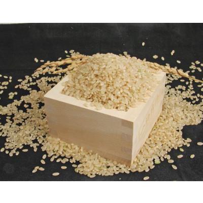 ふるさと納税 西脇市 【毎月定期便】兵庫県産 コシヒカリ(玄米) 10kg全3回 |  | 02