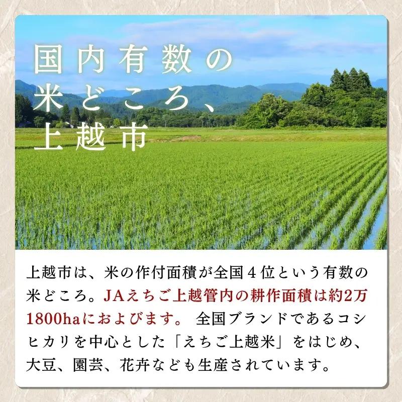 コシヒカリ5㎏ 新潟県 上越産 米 コシヒカリ 令和7年産