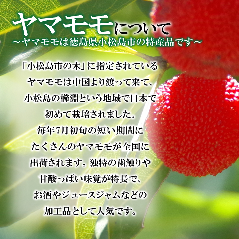 焼き菓子 やまもも パイ 12個入り 個包装 名菓 洋菓子 和菓子 ケーキ お中元 ギフト 贈答用 おすすめ 常温(大人気パイ 人気パイ 贈答用パイ 大人気洋菓子 【北海道・東北・沖縄・離島配送不可】