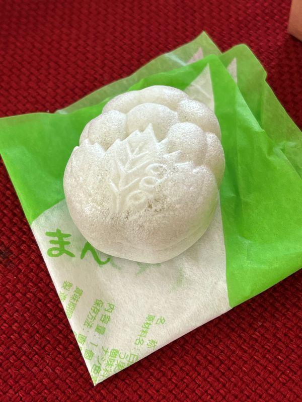 ナイアガラろまん 10個入り×2箱 ｜ 最中 ナイアガラ餡 コンコード餡 ぶどう果汁 ぶどう風味 ギフト 銘菓 人気 塩尻市 長野県