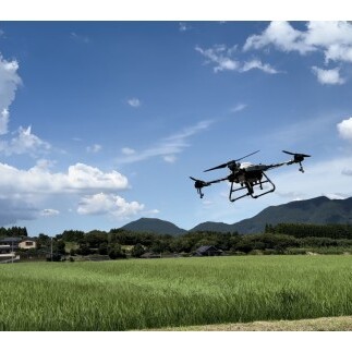 ＜予約受付＞10月下旬より順次発送「若き百姓の覚悟」佐賀県 ヒノヒカリ 米 5kg 【みゆきファーム】 ブランド米 精米済み 白米 有田町 令和8年産 新米 ft007_イメージ5