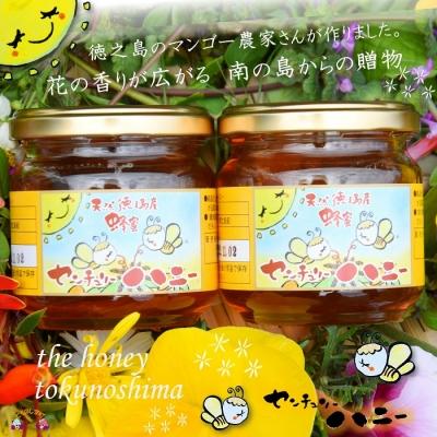 ふるさと納税 徳之島町 〜徳之島のマンゴー農家さんが作ったはちみつ〜センチュリーハニー(大) |  | 01