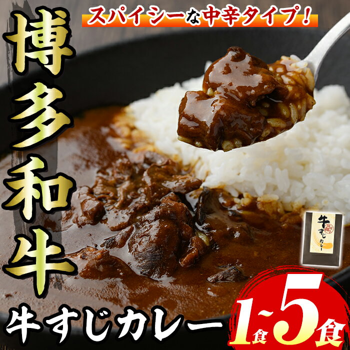 【ふるさと納税】《容量選べる》博多和牛 牛すじカレー(1食~5食) 肉 牛 牛筋 カレー ビーフカレー レトルト レトルトパウチ 中辛 本格 メール便 お試し おためし 常温 常温保存 長期保存 長期保存可能 簡単調理 コラーゲン【マル五】