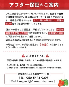 特別栽培 白いちご 天使のいちごと旬のいちご詰め合わせ紅白セット （ふくおかエコ農産物） 約500g _ 旬 いちご 詰め合わせ 紅白セット 2パック入り 約 500g ふくおかエコ農産物 旬のいちご