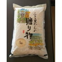 【ふるさと納税】【令和5年産】みよし市産大地の風精米5kg　【1129000】