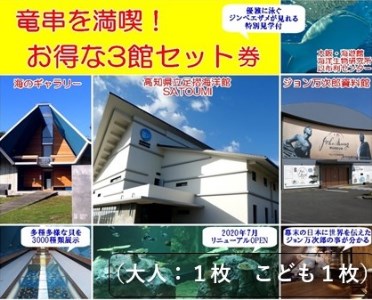 水族館・資料館・展示館　ぐるっと竜串　お得な3館入場券セット（大人1名と子供1名）【R00203】
