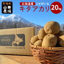 【ふるさと納税】北海道産じゃがいも〈キタアカリ〉20kg［京極町］ 野菜 キタアカリ じゃがいも 北海道 20kg 料理　野菜・じゃがいも・ジャガイモ・キタアカリ・20kg　お届け：2024年9月下旬～2025年3月下旬