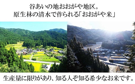 玄米 30kg 令和6年産 コシヒカリ 岡山 「おおがや米」生産組合 G-ad-ADZA