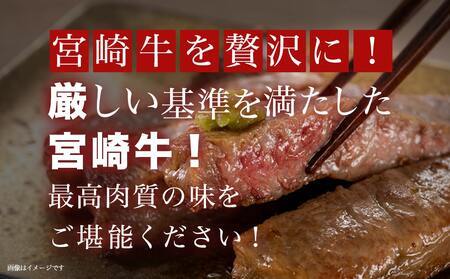 【2026年3月お届け】宮崎牛サーロインステーキ200g×2枚_17-8912-2603