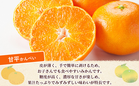 ＜秀品 甘平 (L～3Lサイズ) 約5kg＞蜜柑 ミカン みかん 果物 フルーツ 柑橘 かんぺい 果汁 ジューシー 果肉 国産 愛媛県産 西予市産 ギフト 贈答用 高級柑橘 特産品 丸二青果 愛媛県 