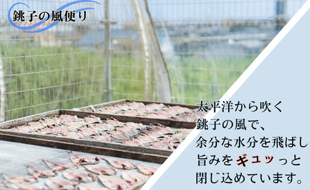 天日干し アジ干物 8～12枚 1パック2～3枚 8枚以上 10,000円 アジ あじ 鯵 干物 ひもの アジ干物 あじ干物 冷凍 無添加 新鮮 海鮮 焼魚 おかず 朝食 夕食 おつまみ 日本酒 ビー