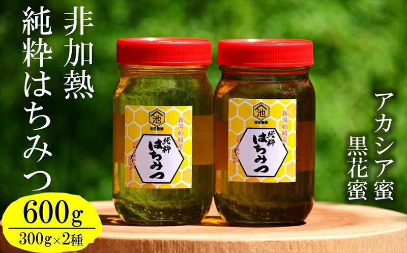 【ふるさと納税】【先行予約・令和7年産】国産 非加熱 純粋はちみつ 300g×2種類（アカシア蜜・黒花槐蜜）食べ比べセット 柏崎産【 新潟県 柏崎市 】