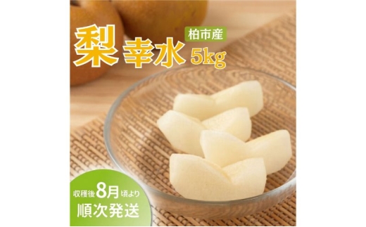 【オンライン決済限定】柏市産 梨（幸水） 5kg 〈先行予約 2026年8月順次発送〉フルーツ 果物 なし 旬 国産 産地直送 千葉県産 新鮮 デザート 【配達不可：沖縄、離島】 [№5412-0260]