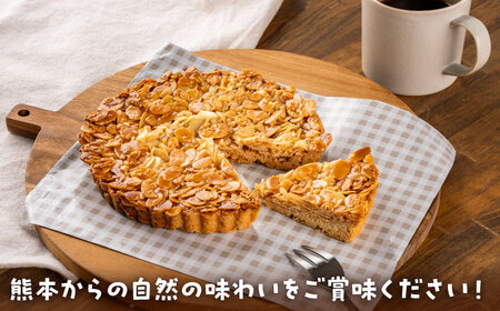 手作りキャラメルタルト 2個セット タルト BHAK013