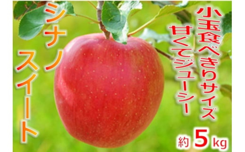 【013-45】令和7年10月上旬頃発送　信州のりんご　シナノスイート　厳選！小玉食べきりサイズ！　約5キロ