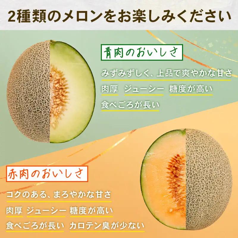 訳あり タカミメロン 青肉 赤肉 飯岡メロン セット 5.5kg 【 メロン 】 食べ比べ