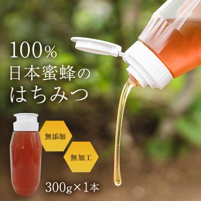 ふるさと納税 いすみ市 日本蜜蜂のはちみつ