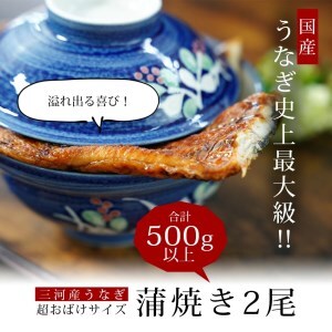 【土用の丑の日までにお届け】三河産うなぎ「超おばけサイズ蒲焼き2尾」合計500g以上鰻 ウナギ うなぎ 蒲焼 国産 うなぎ蒲焼 タレ付き たれ 国産うなぎ 蒲焼き うな丼 丑の日 土用の丑の日・A11