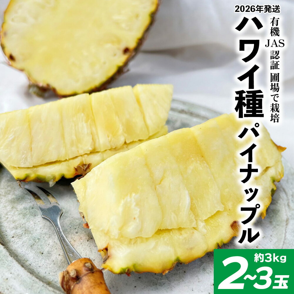 【ふるさと納税】有機JAS認証圃場で栽培　ハワイ種パイナップル　2～3玉（約3kg） 2026年発送 沖縄県産 東村 パイナップル ジューシー 希少 高級フルーツ 南国フルーツ 国産フルーツ 農家直送 パイン 果物 贈り物 おすすめ お土産 人気 やんばる 大自然 南国気分