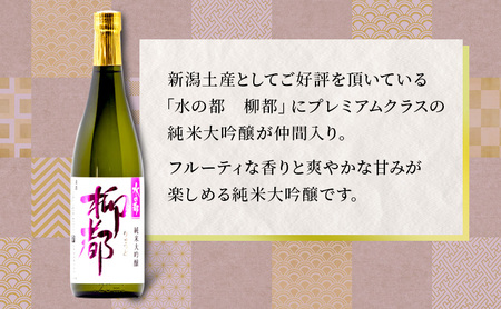 高野酒造 水の都 柳都 純米大吟醸・吟醸酒セット 720ml×2本 純米大吟醸酒 お酒 日本酒 