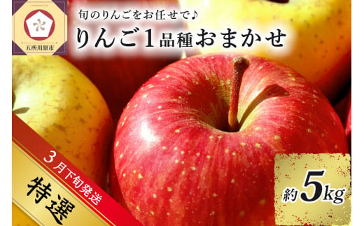 【2025年3月下旬発送】 【特選】 旬の美味しい りんご 約5kg 青森産 【おまかせ1品種】