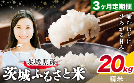 米20kg白米3回定期便《申込月の翌月から出荷開始》おこめ