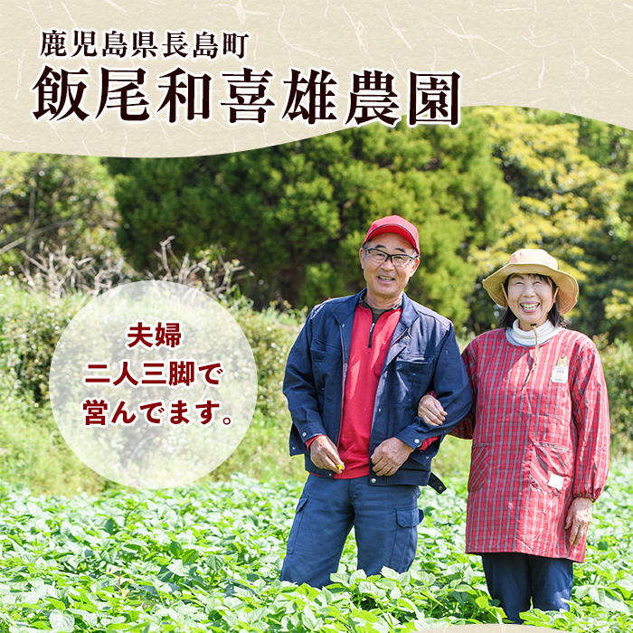 和喜雄さんといつみさんの熟成じゃがいも5kg【飯尾和喜雄農園】iio-1015