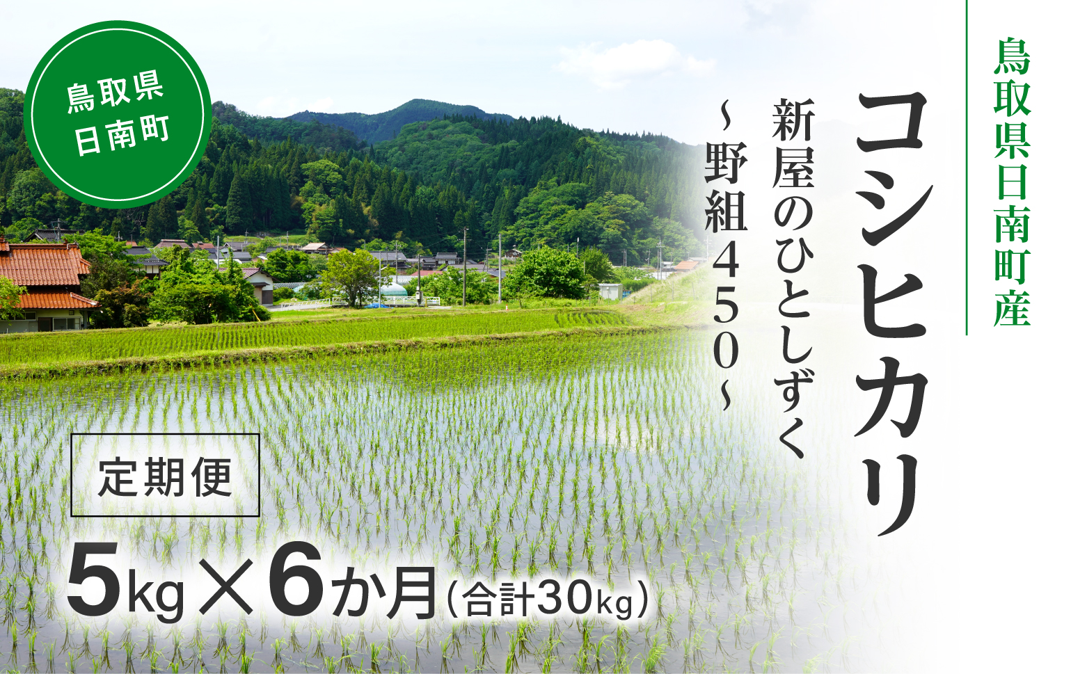 令和7年産 新米 先行予約 鳥取県日南町産コシヒカリ 定期便 5kg×6か月(合計30kg) 新屋のひとしずく ～野組450～ 米 お米 おこめ 精米 こしひかり