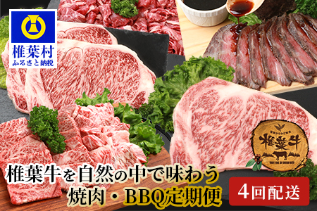 【定期便4回】総重量2.4kg！椎葉牛 大自然の中で味わう焼肉・BBQ定期便≪焼き肉・ステーキ・切り落とし・ローストビーフ≫宮崎県産 和牛 定期便 宮崎県産 和牛 定期便 宮崎県産 和牛 定期便 宮崎県産 和牛 定期便 宮崎県産 和牛 定期便 宮崎県産 和牛 定期便 宮崎県産 和牛 定期便 宮崎県産 和牛 定期便 宮崎県産 和牛 定期便 宮崎県産 和牛 定期便 宮崎県産 和牛 定期便 宮崎県産 和牛 定期便 宮崎県産 和牛 定期便 宮崎県産 和牛 定期便 宮崎県産 和牛 定期便 TK-63