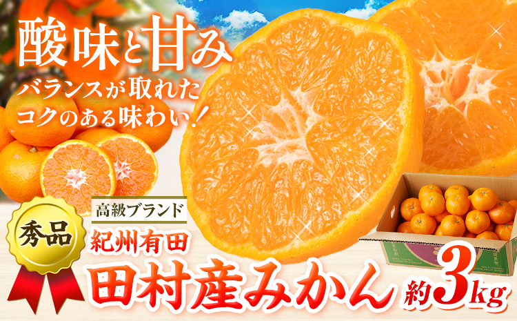みかん 高級ブランド 秀品 紀州有田田村産みかん 3kg 株式会社魚鶴商店《12月上旬-1月中旬頃出荷(土日祝除く)》和歌山県 日高町 田村産 柑橘 フルーツ くだもの 果物
