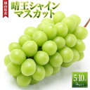 【ふるさと納税】ぶどう［2024年先行予約］晴王 シャインマスカット 5房～10房（5kg以上）岡山県産 | フルーツ 果物 くだもの 食品 人気 おすすめ 送料無料