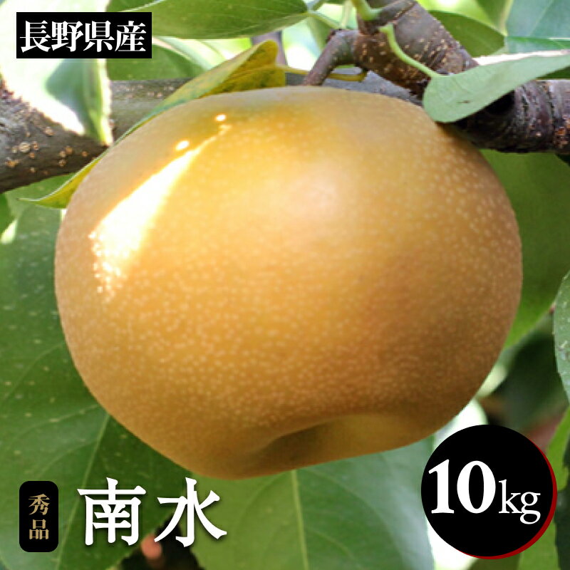 【ふるさと納税】梨 ナシ 南水 ジューシーで 甘い 梨 ! 長野県産 なし 南水 約10kg 秀品 〈2025年9月中旬〜10月中旬発送〉 | 果物 くだもの フルーツ 梨 なし 南水 長野県 信州 南信州 飯田市 B42
