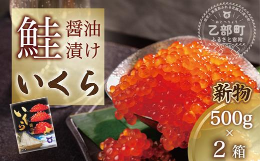【新物】＜いくら醤油漬　2パック（500ｇ×2箱）＞鮮度にこだわる「笹谷商店」の絶品の醤油タレで漬けたいくら（検索：イクラ 鮭いくら 鮭イクラ 醤油いくら 醤油イクラ いくら醤油漬け イクラ醤油漬け 醤油漬 いくら丼 秋鮭 国産 北海道産 北海道乙部町 日本海 冷凍 人気 使い道 ふるさと納税）