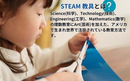 グラデーションフラワー STEAM教具【知育 教育 理数教育 子ども 未来 紙 水性ペン 毛細管現象 オリジナル バラ カーネーション 制作 工作 キット セロファン 宿題 自由研究 ハロウィン クリ