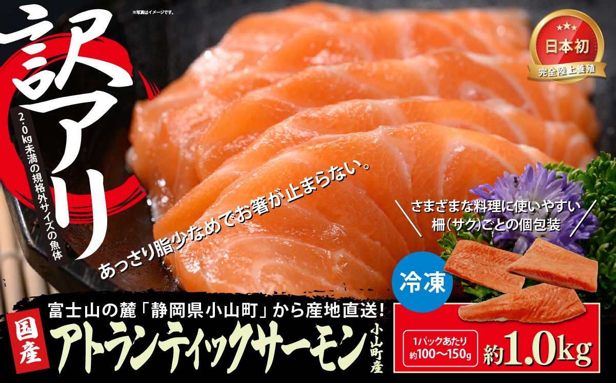 
                  【訳アリ】小山町産 アトランティックサーモン 約1kg（柵）魚体2.0kg未満 | サーモン 刺身 海鮮丼 小分け 真空パック 鮭 養殖 国産 訳あり 1キロ 切り身 静岡県 小山町
                