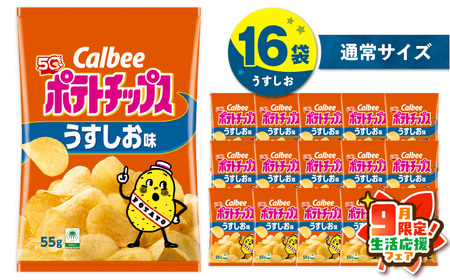 カルビー ポテトチップス【うすしお】16袋 K194-002_03 ポテトチップス ポテチ チップス 菓子 お菓子 スナック スナック菓子 おやつ おかし じゃがいも うすしお 塩 塩味 薄塩 Calbee パリパリ 美味しい おいしい 酒の肴 おつまみ つまみ お子様 子供 セイカ食品 ふるさと納税 鹿児島 おすすめ ランキング プレゼント ギフト