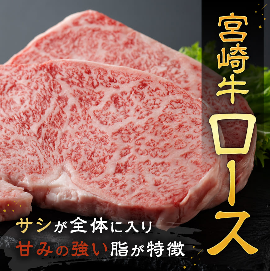 宮崎牛 ステーキ 2種 600g【肉 牛肉 国産 宮崎県産 宮崎牛 黒毛和牛 和牛 ステーキ BBQ 4等級  A4ランク ロース モモ  E11118】