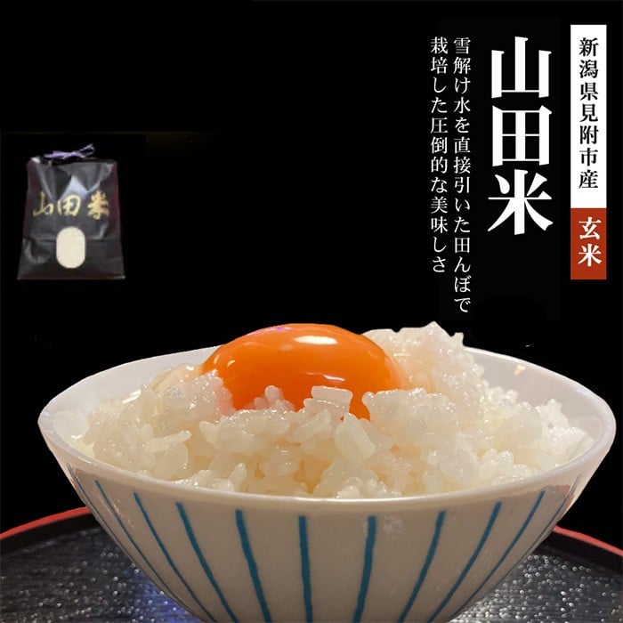 
                  【ファーム喜左ヱ門】令和7年産 山田米（玄米)　10kg
                