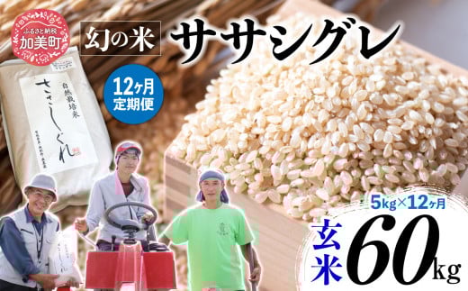 《 希少品種米 》 新米 米 令和6年 ササシグレ ( 栽培期間中農薬・肥料不使用 ) 【 12回 定期便 】 玄米 5kg × 12ヶ月 （ 合計 60kg ）｜ 宮城県 加美町 お米 こめ コメ ささしぐれ ササニシキ の 父 ｜ nt00002-r6-5kg-12