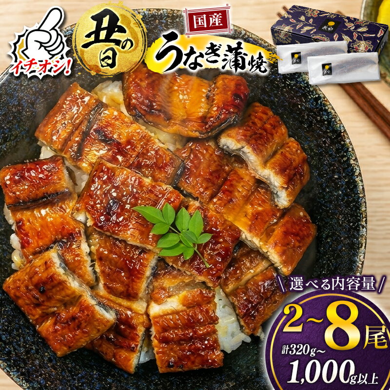 【ふるさと納税】うなぎ 国産 鰻 蒲焼 （2尾～ 8尾） 人気 小分け ウナギ unagi 丑の日 宮崎 高鍋町 鰻楽 ランキング 送料無料 簡単 調理 家庭用 おかず 【TVで話題沸騰！】