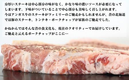 カネカン竹内　ポークチャップ（懐かしの特製デミソース付）