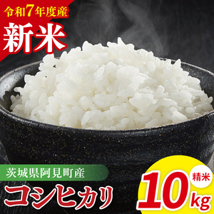 【先行予約】令和7年産阿見町産コシヒカリ　精米　10kg（5kg×2）【お米 米 こしひかり ごはん 茨城県】（85-03）