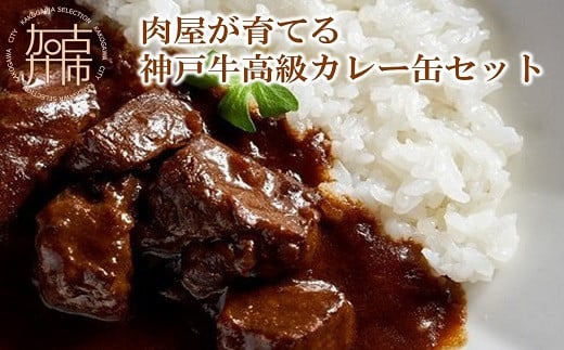 ★選べる配送月★[11月発送]肉屋が育てる神戸牛高級カレー缶セット〈ビーフカレー 神戸牛 牛肉 牛タンシチュー 缶詰 家飲み 高級カレー おすすめ プレゼント 本格カレー 美味しい 送料無料 カレー お取り寄せ〉【2401I00101-11】