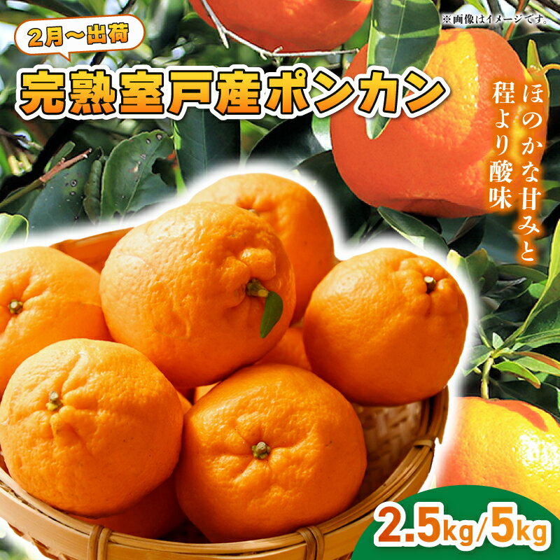 【ふるさと納税】先行予約 2月発送 ポンカン ポンカン ぽんかん 高知県 室戸市産 2.5kg 5kg 柑橘 フルーツ 果物 ミカン みかん 送料無料 人気 おすすめ 甘い ジューシー ギフト 冬 旬 sa003