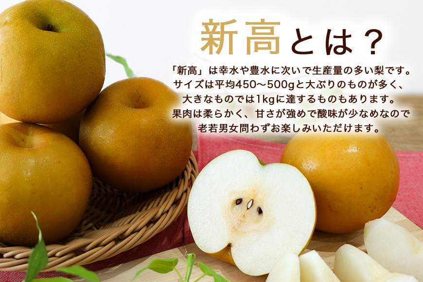 【数量限定 / 夏季限定】梨（新高）約5kg 梨 なし ナシ 日本梨 にいたか ニイタカ 17-Y 【9月中旬～下旬発送予定】