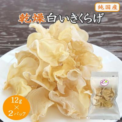 ふるさと納税 田辺市 【プレミア和歌山認定品】 乾燥白いきくらげ 12g×2パック【fzn012】