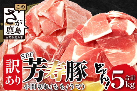 【SPF芳寿豚】SPF芳寿豚 小間切れ大容量満足セット1kg×5袋【合計5kg】【業務用サイズでボリューム重視の方におすすめ】【料理に便利】