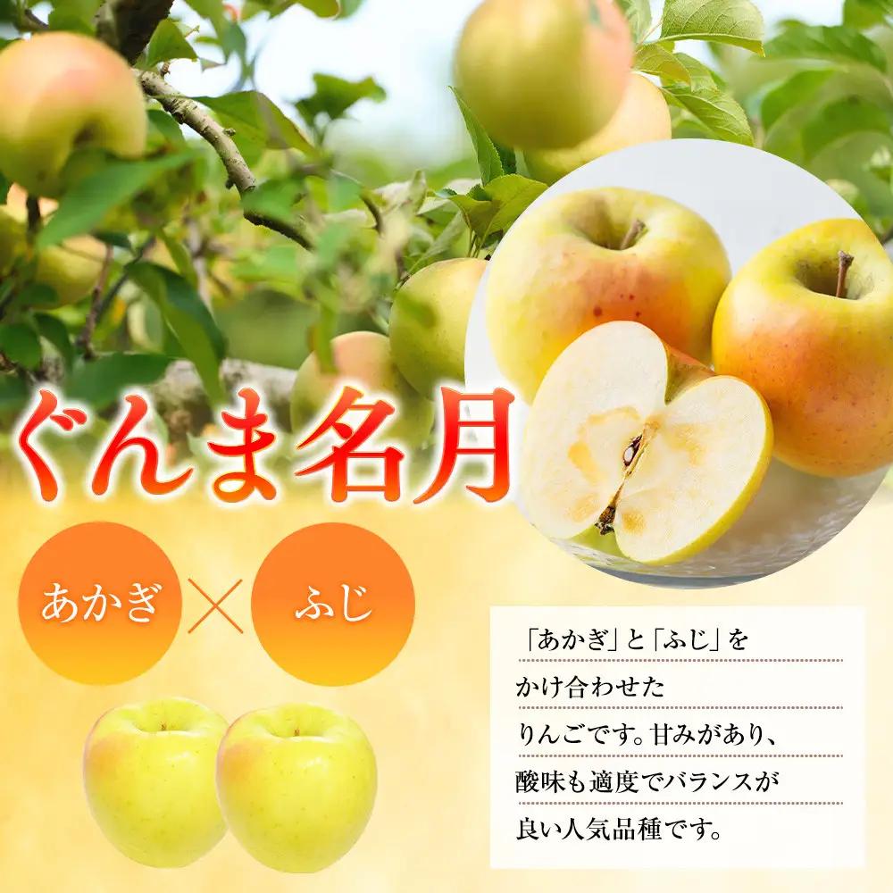 前島農家 ぐんま名月約5kg（12個～18個） | りんご フルーツ 旬 りんご